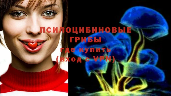 ПСИЛОЦИБИНОВЫЕ ГРИБЫ Белокуриха