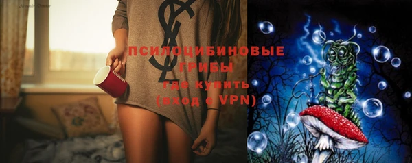 ПСИЛОЦИБИНОВЫЕ ГРИБЫ Белокуриха
