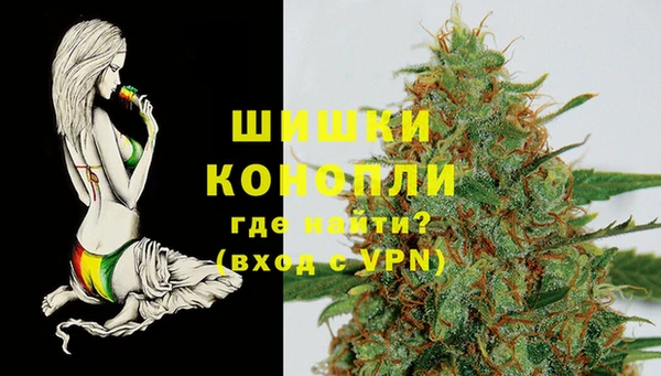 ПСИЛОЦИБИНОВЫЕ ГРИБЫ Белокуриха