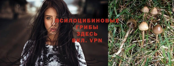 ПСИЛОЦИБИНОВЫЕ ГРИБЫ Белокуриха