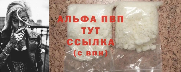 ПСИЛОЦИБИНОВЫЕ ГРИБЫ Белокуриха